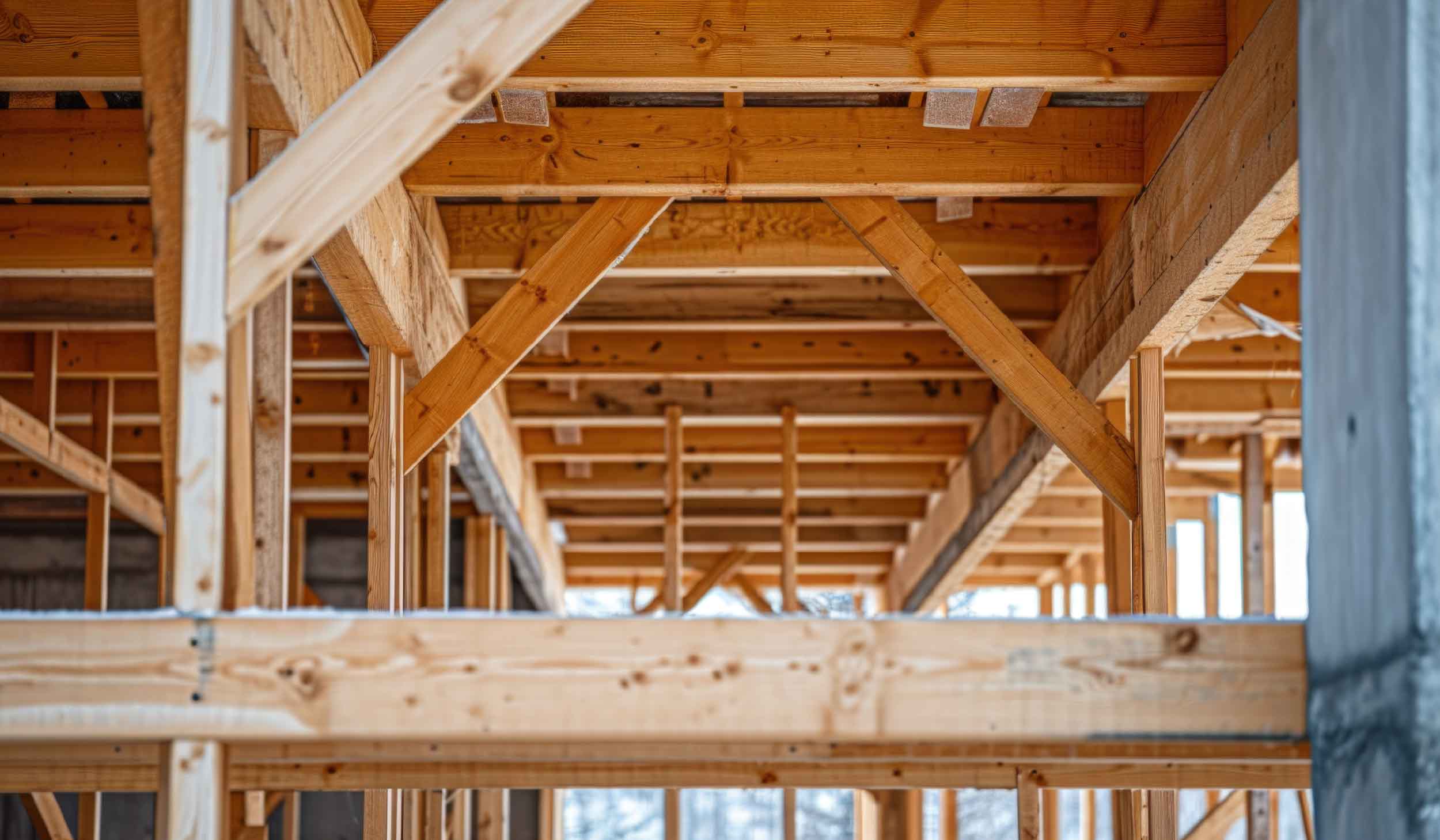 The Sustainable Choice: Timber Construction for Eco-Friendly Buildings