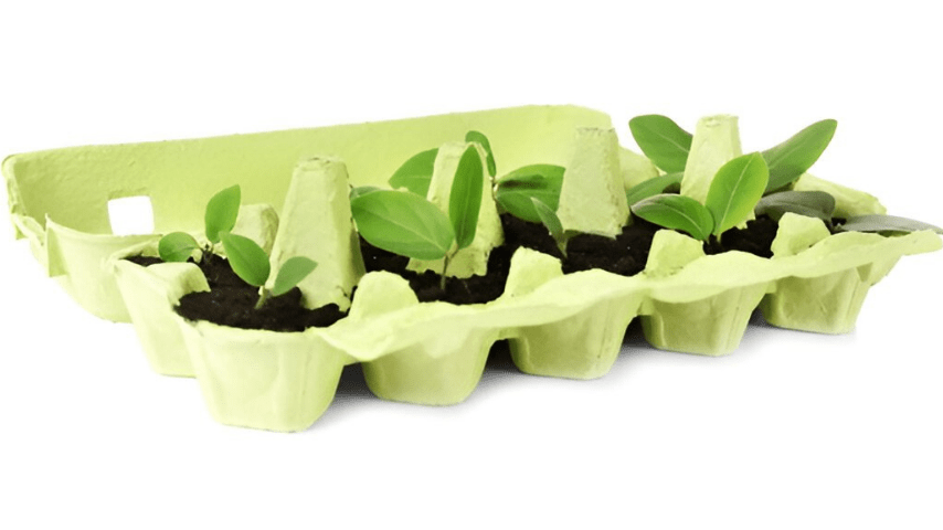 Low Budget Interior Ideas