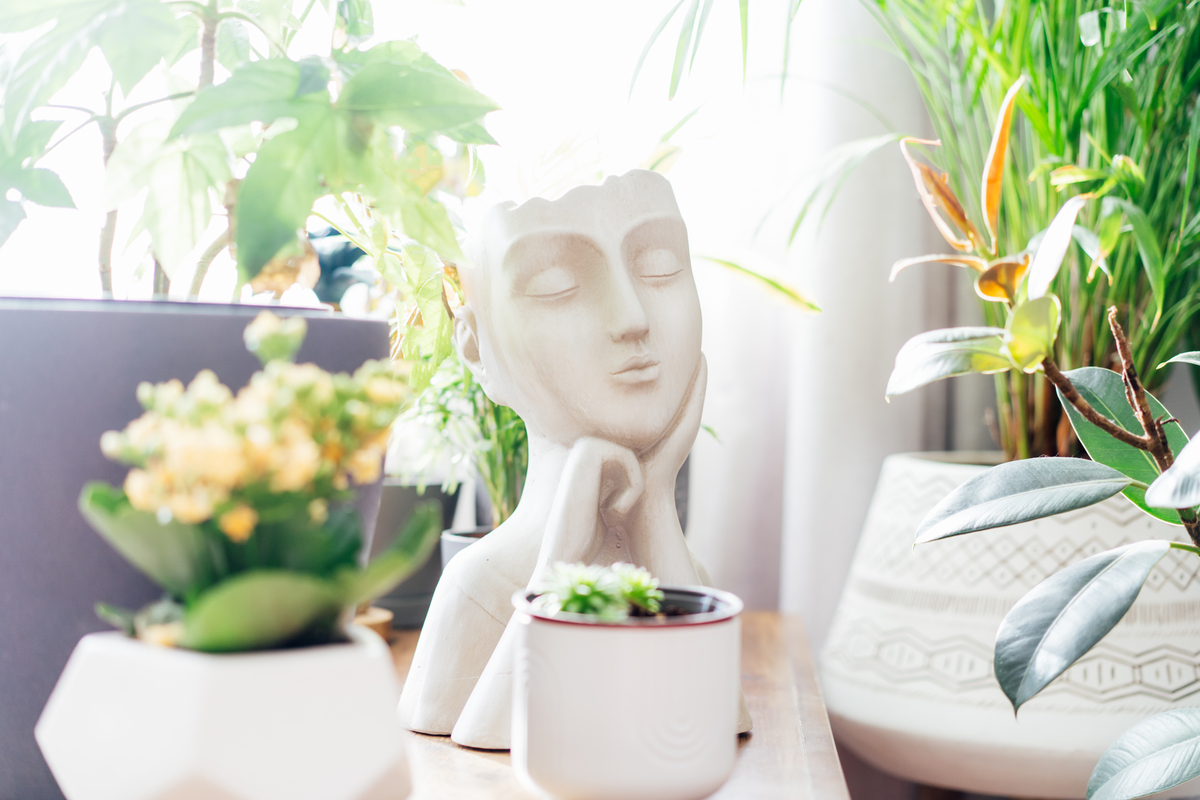 Incorporate plants DIY