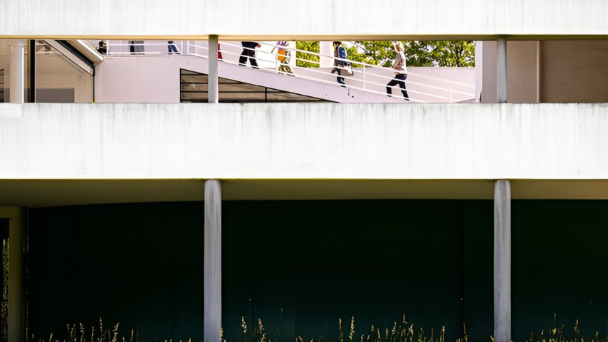 villa sovaye, five points of architecture