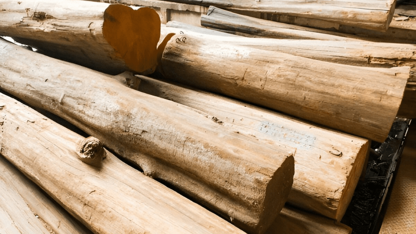 Teak wood interiors (2)